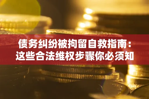 济南债务纠纷被拘留自救指南：这些合法维权步骤你必须知道！