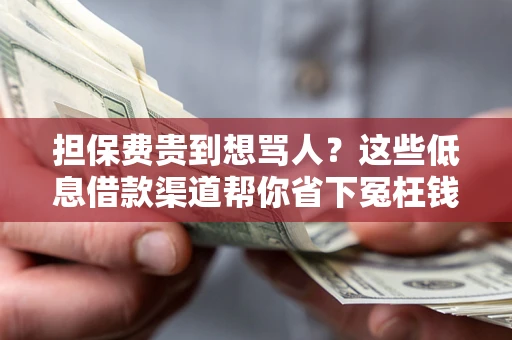 济南担保费贵到想骂人？这些低息借款渠道帮你省下冤枉钱