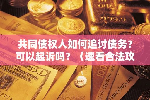 济南共同债权人如何追讨债务？可以起诉吗？（速看合法攻略）